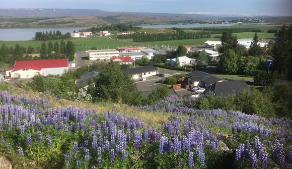 Hvar er best að tjalda um helgina?