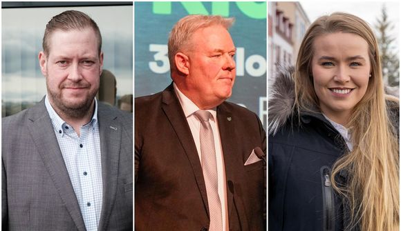 Þingmennirnir vilja halda sæti sínu