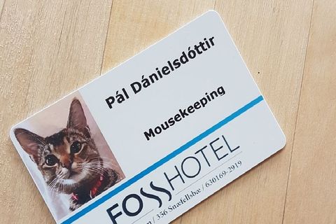 The photo of the staff card that went viral.