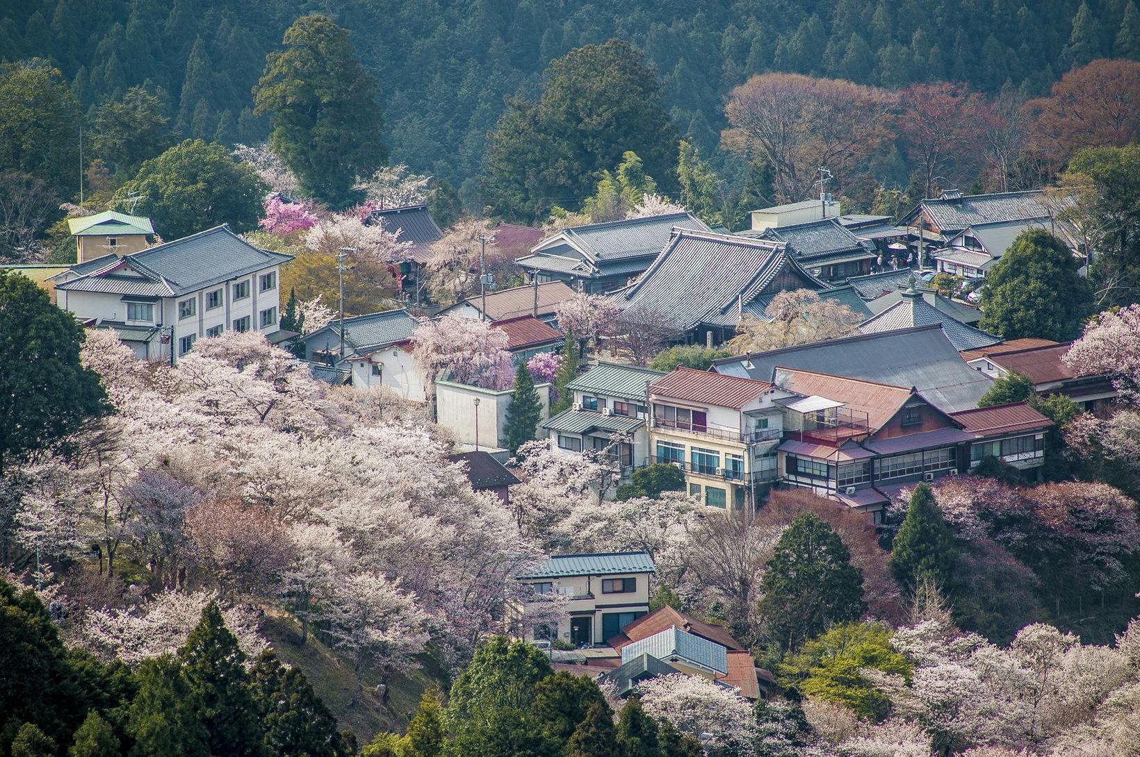 Ekki missa af þessu í Japan