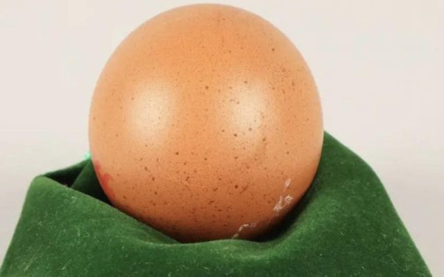 egg, sem eru nánast algjörlega kúlulaga, eru afar sjaldgæf fyrirbæri.