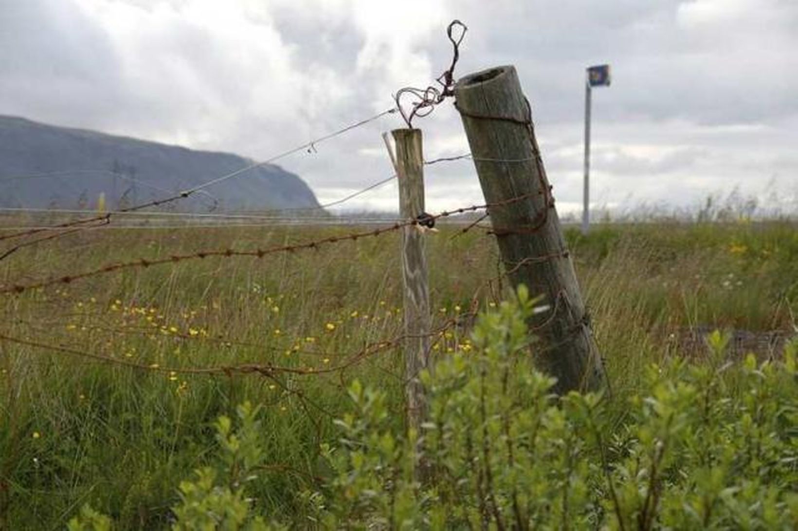 Komið er að endurnýjun hinnar 40 ára gömlu girðingar í …