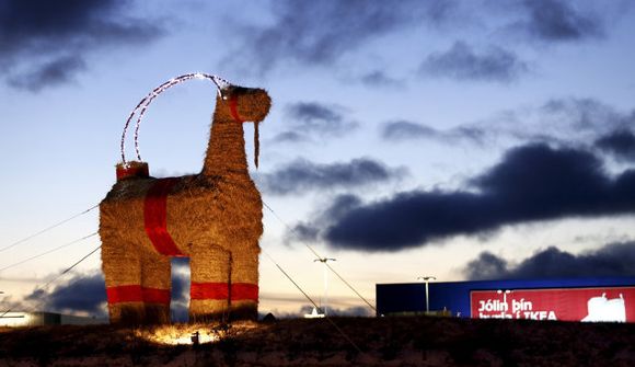 Furðulegt háttalag jólageitar um nótt