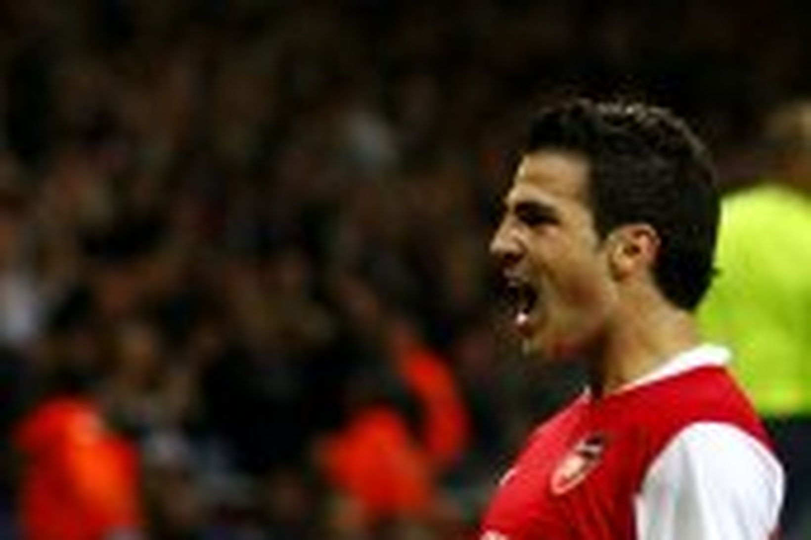 Cesc Fabregas er ánægður með lífið hjá Arsenal.