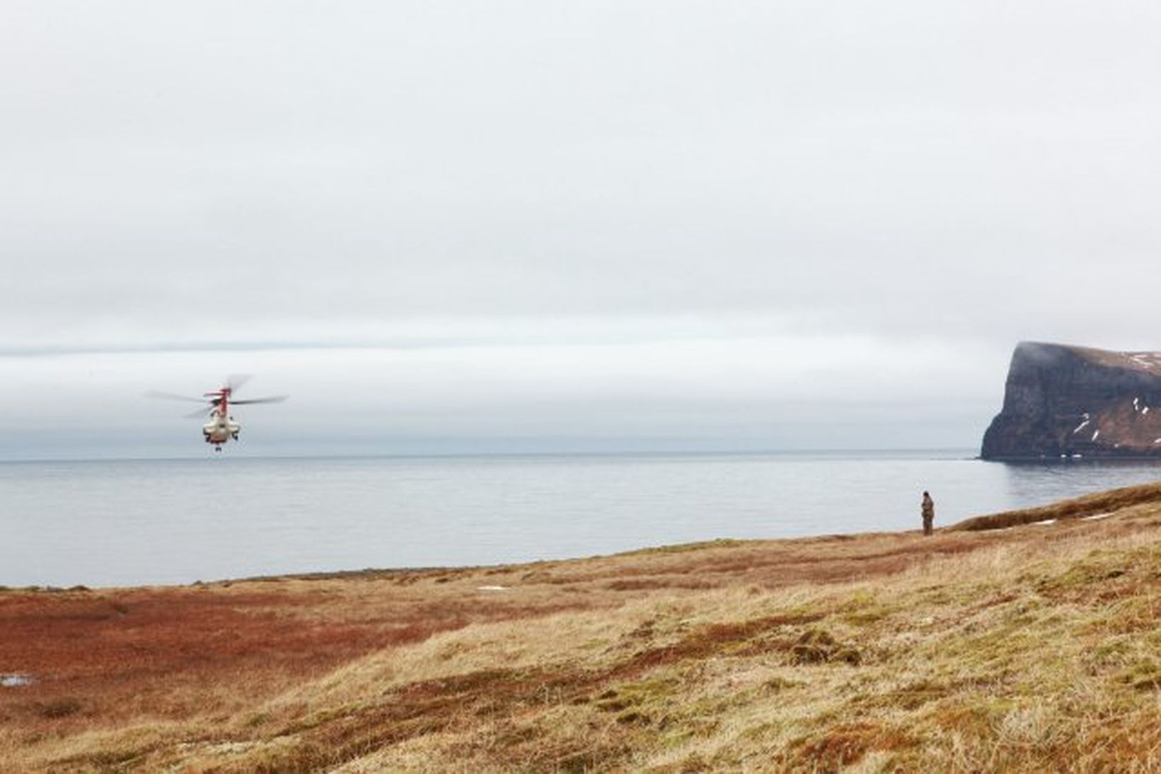 Þyrla Landhelgisgæslunnar fer úr Hornvík með björninn innan borðs. Horn …