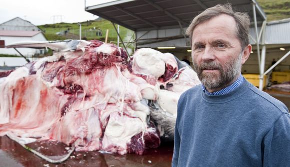 Breyttar reglur um hvalveiðar skorti lagastoð