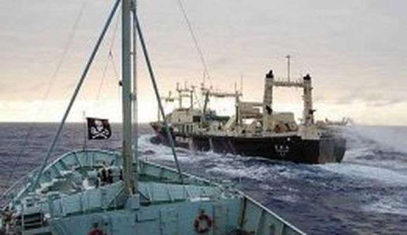 Japanskt hvalveiðiskip og skip Sea Shepherd rákust saman
