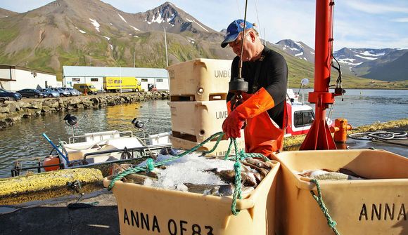 Góð veiði og hátt verð á strandveiðum