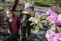 Bioblitz - lífveruleit í Grasagarðinum