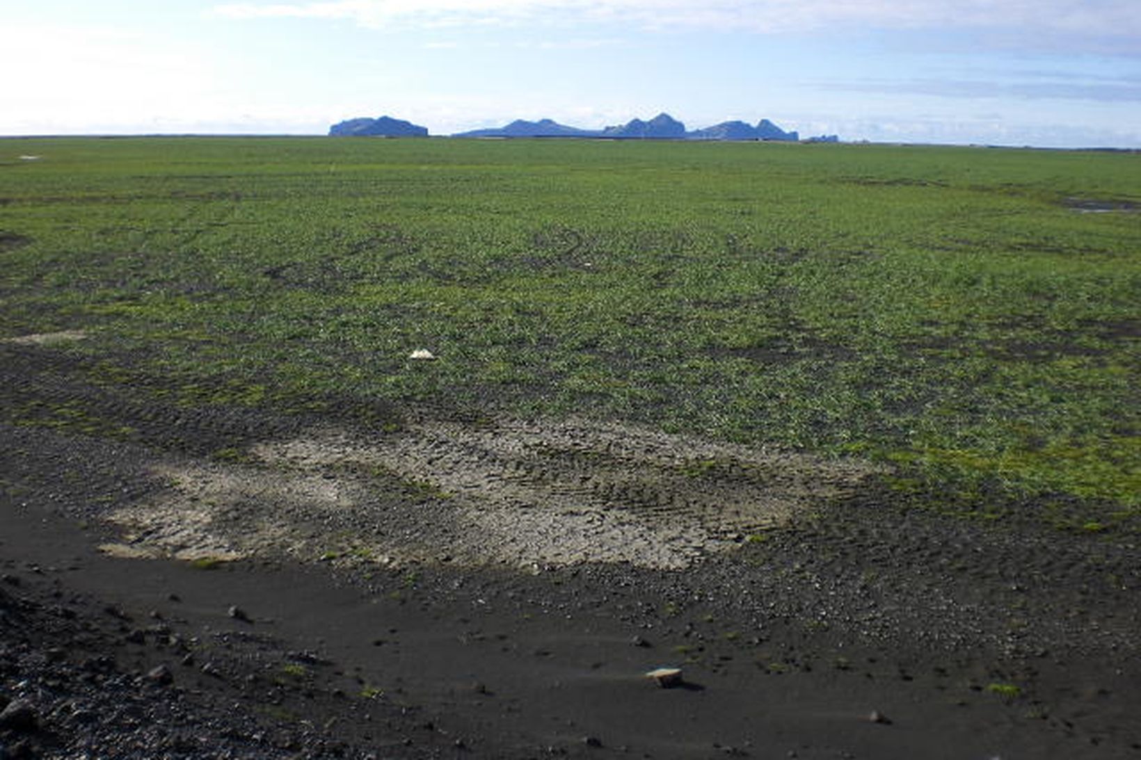 Landgræðslan hefur sáð bæði melgresi og nú lúpínu á Landeyjasandi …