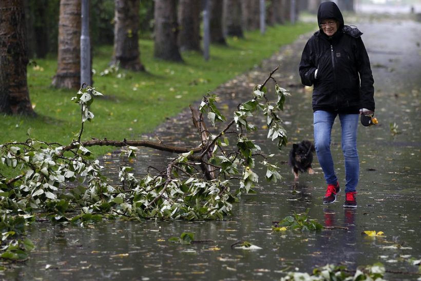 Fyrstu haustlægðirnar eru væntanlegar á færibandi.