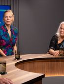 Sjálfsákvörðunarréttur hvala