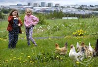 Stemning í Árbæjarsafni