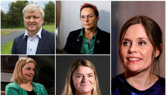 Meirihluti þingmanna VG farinn á brott