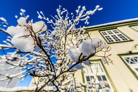 White Christmas this year?