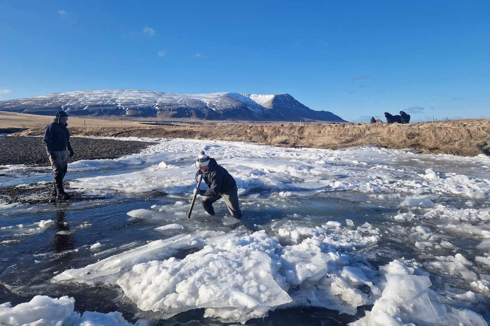 Aðstæður við Leirá á opnunardegi 1. apríl í fyrra. Í …