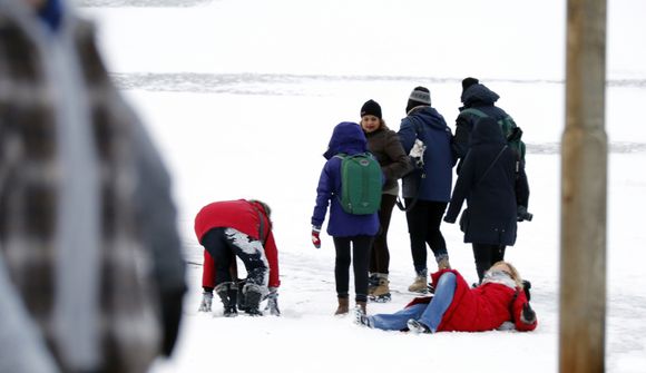 617 heimilisofbeldismál á einu ári