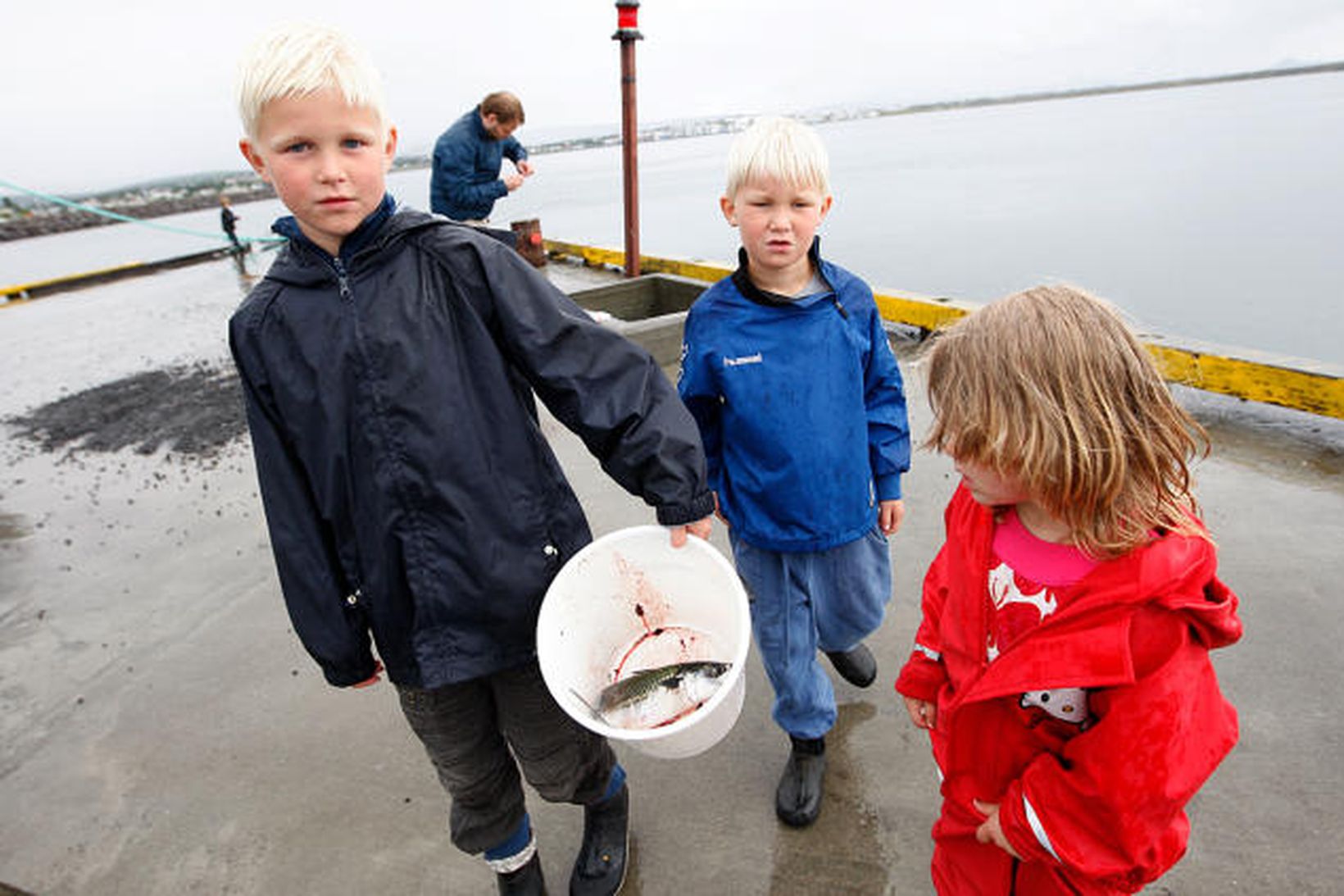 Ungir veiðimenn með makríl sem þeir veiddu í Kópavogshöfn í …