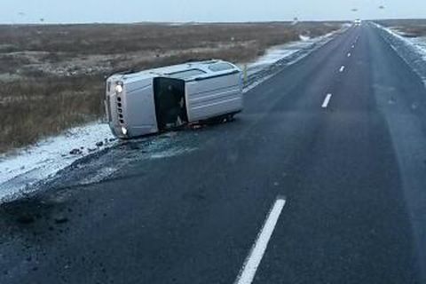 Fortunately, the two tourists were not hurt, only badly shaken by the experience.
