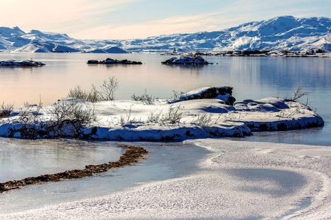Frost at Þingvellir National Park.