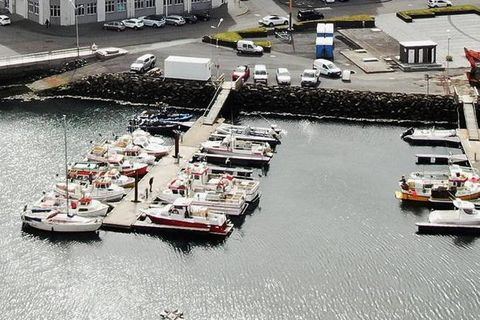 Bæta þarf úr annmörkum sem komið hafa í ljós segir stjórnin.
