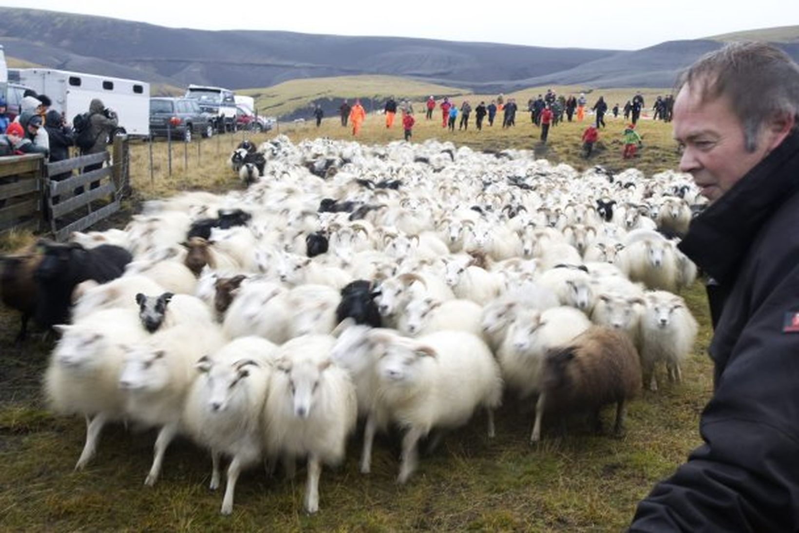 Kristinn Guðnason í essinu sínu í september árið 2009.