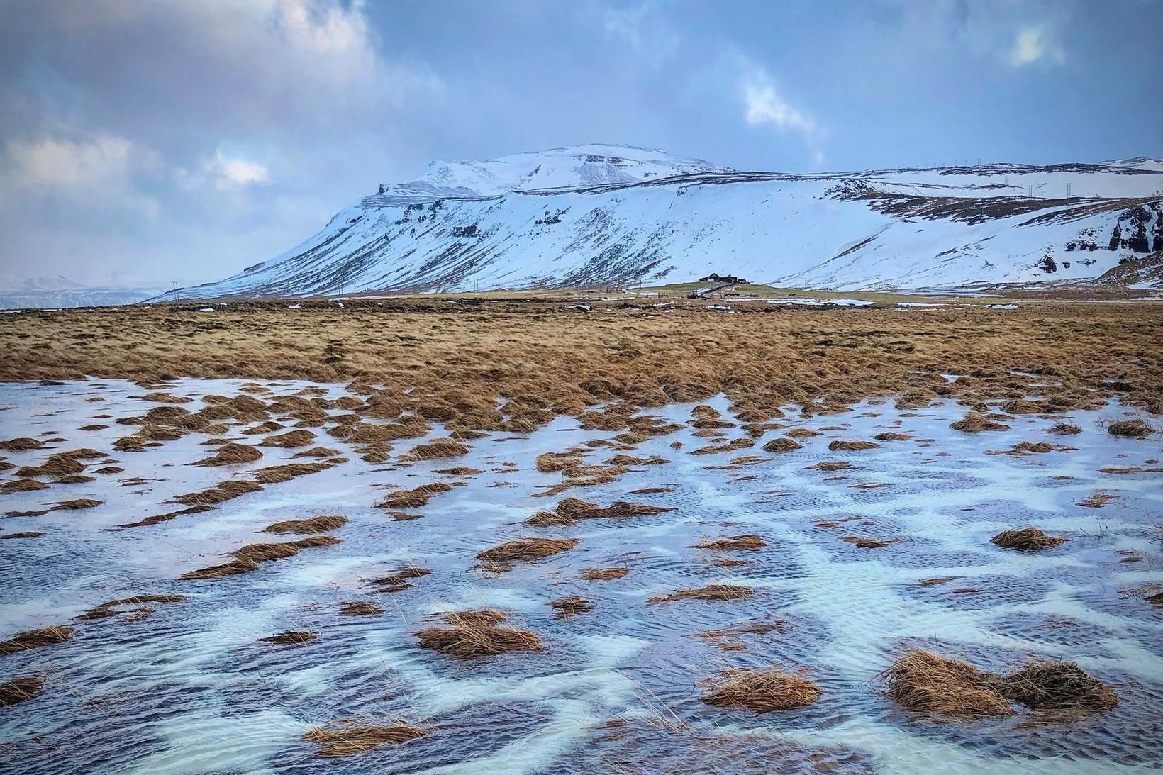 Kuldatíð síðasta vor og kalt sumar með fáum sólarstundum ollu …