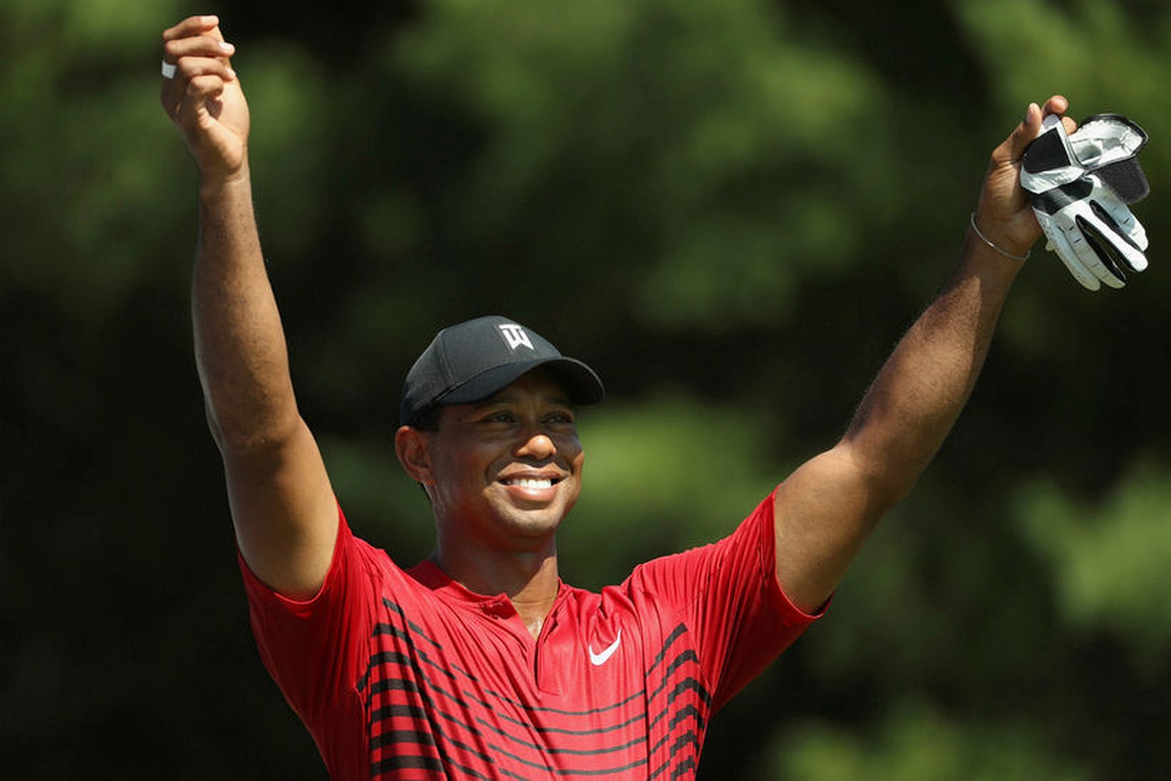 Tiger Woods er í Ryder-liði Bandaríkjanna.