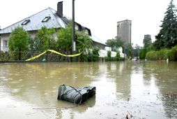 Stígvél flýtur um flóðasvæði í Atzenbrugg im Tullnerfeld í Austurríki í dag. Minnst ellefu manns …