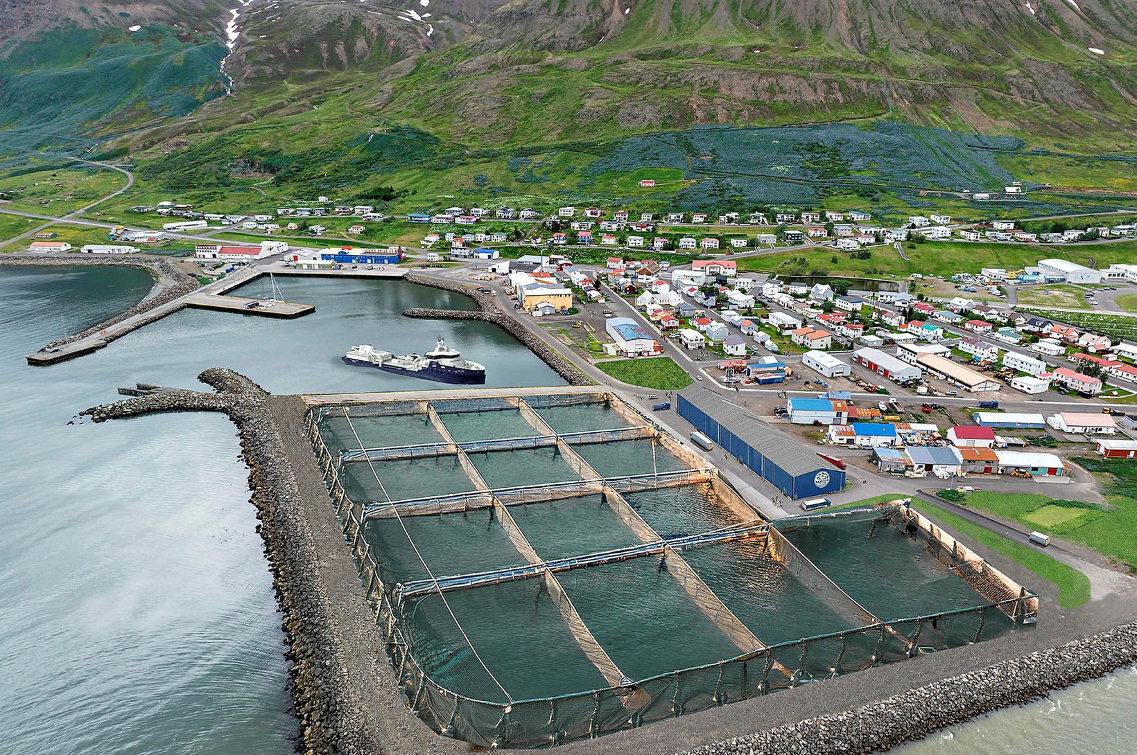 Stórfellt laxeldi áformað