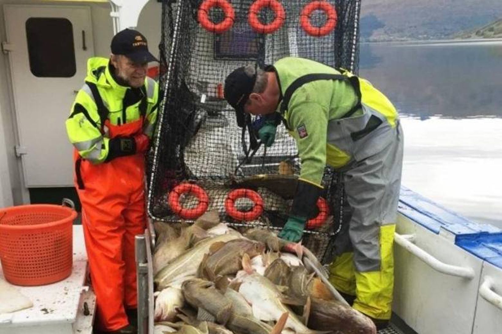 Gildrur nú á dögum eru orðnar töluvert smærri í sniðum …