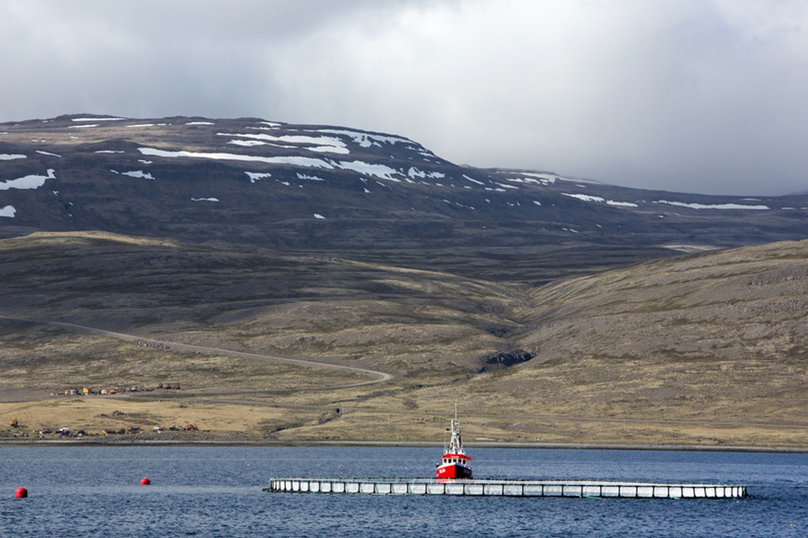 Laxeldi hefur verið byggt upp í nokkrum fjörðum Vestfjarða.