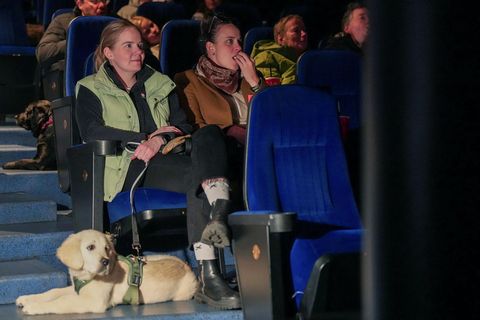 Framkvæmdastjórinn segir alla hundanna hafa hagað sér vel.