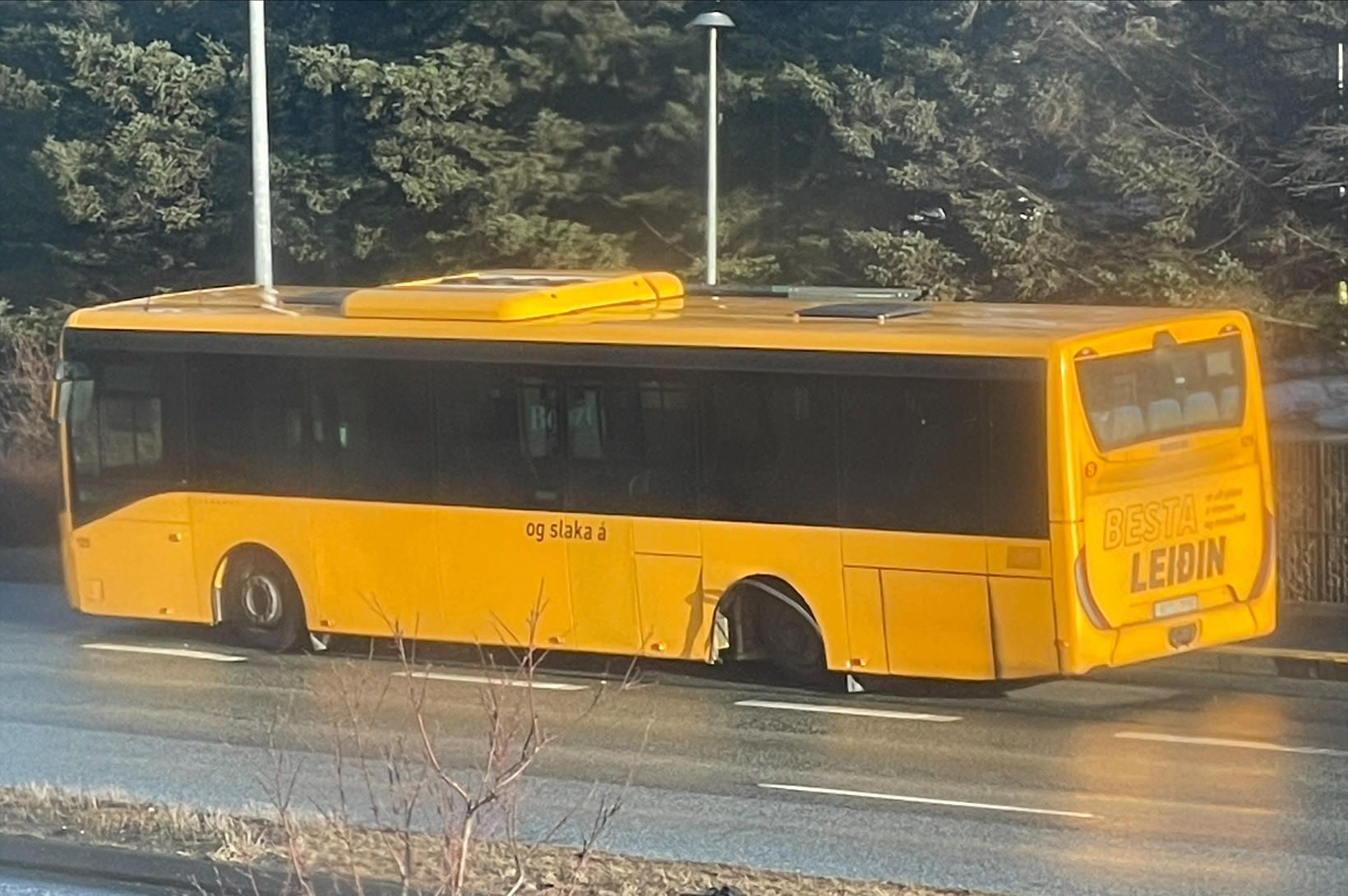 Dekk fór undan strætó og lenti á húsi 