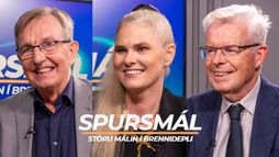 Kjarnorkuástand á þinginu
