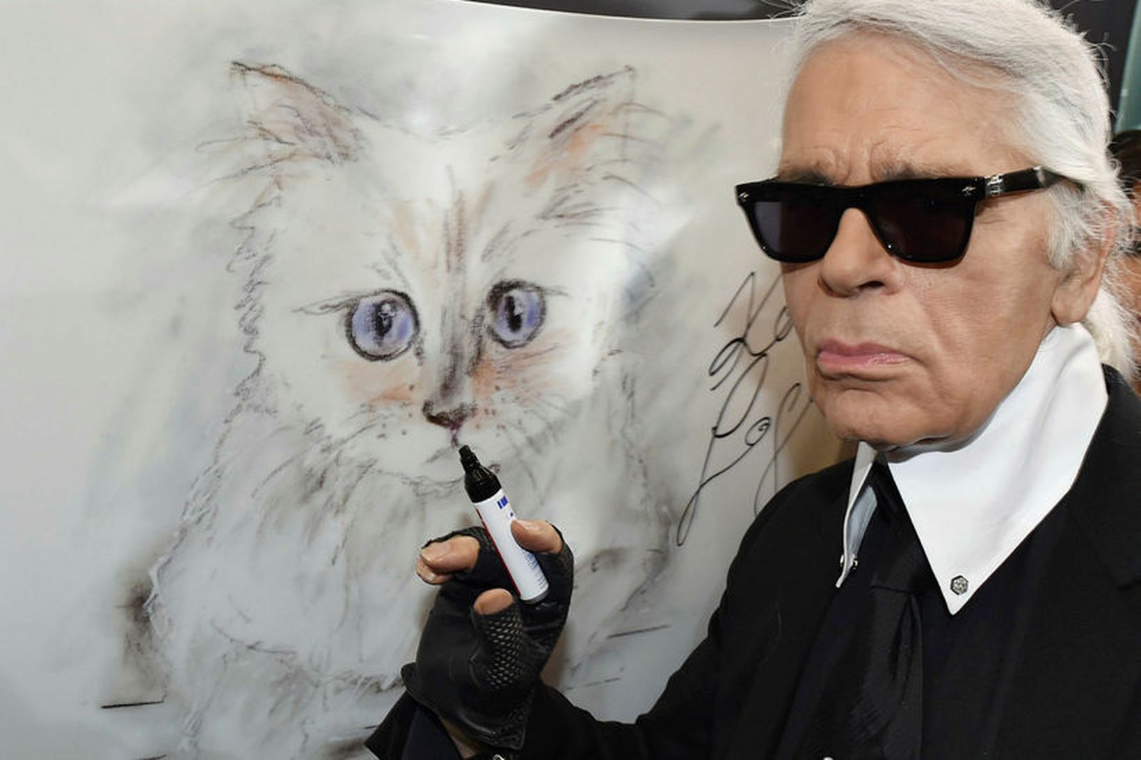 Karl Lagerfeld heitinn ásamt teiknaðri mynd af ástæla kettinum Choupette …