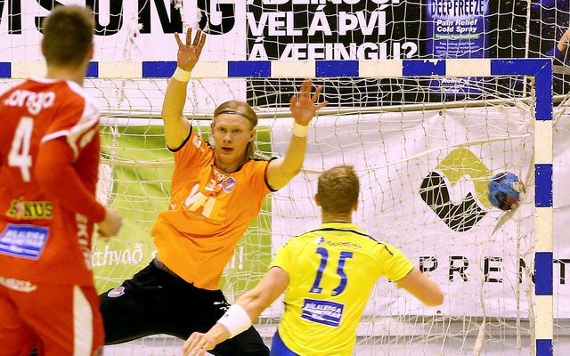 Grétar Ari Guðjónsson hefur á liðnum árum varið mörk franskra handboltaliða en færir sig líklega …