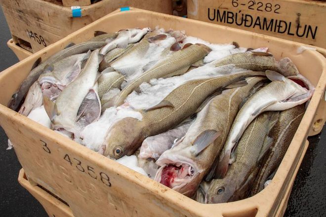 The model is based on more than 1.2 million hours of fishing data.