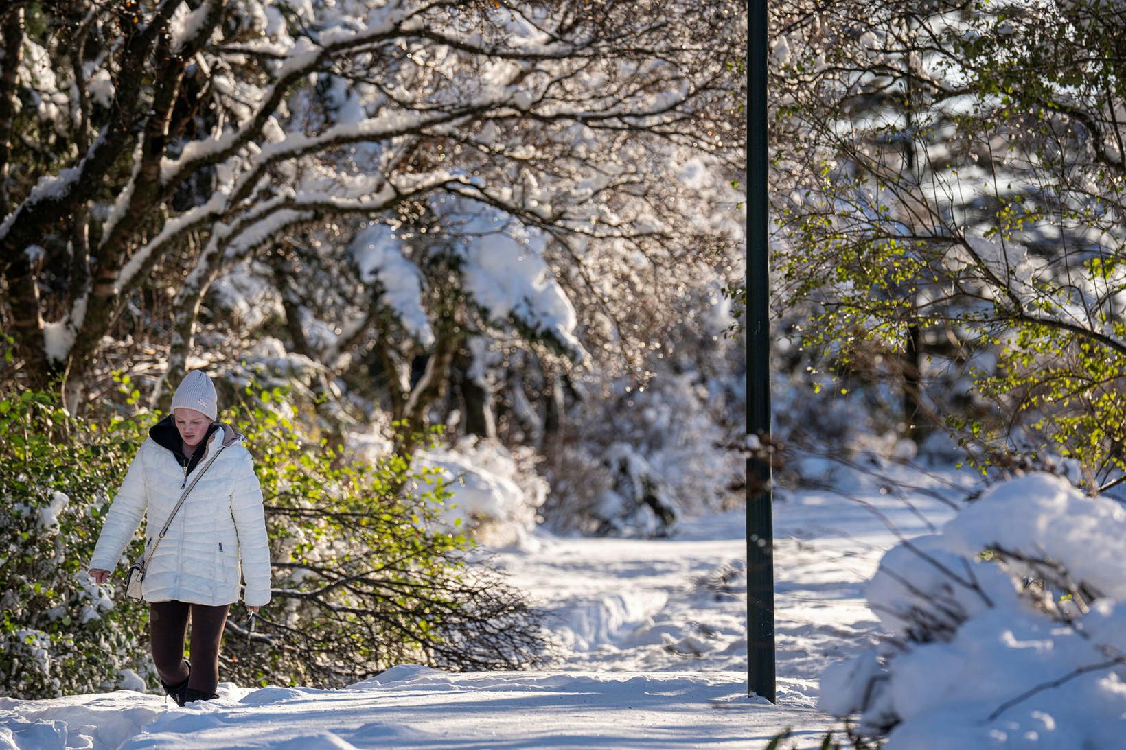 Óveðrið gengur niður og blíðviðri tekur við