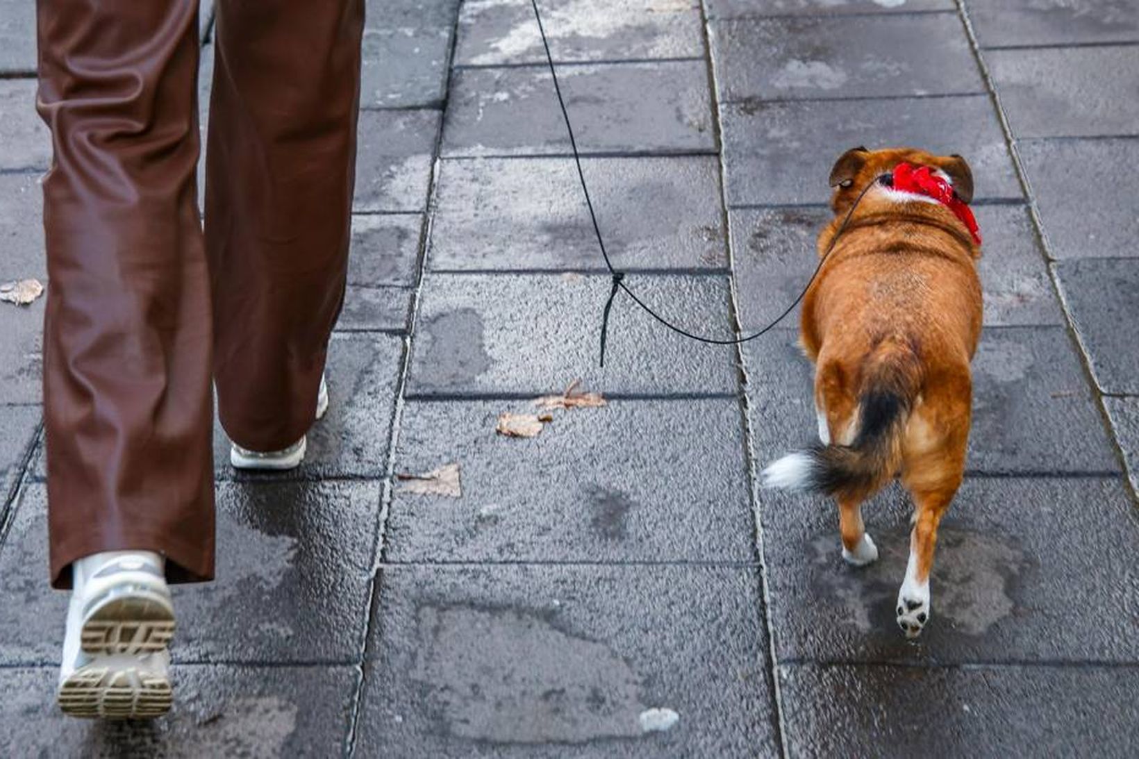 Gönguvæna borgin í samráðsgáttina