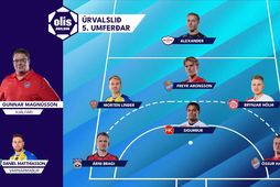 Lið 5. umferðar
