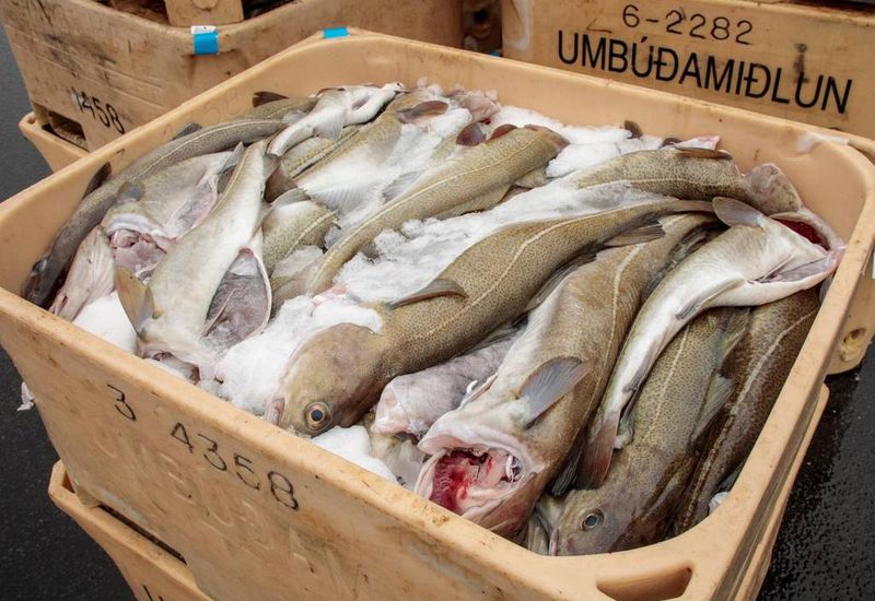 The model is based on more than 1.2 million hours of fishing data.