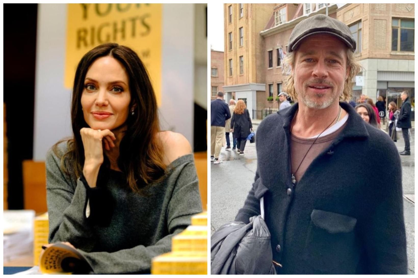 Fyrrverandi leikarahjónin Angelina Jolie og Brad Pitt deila um vínekruna …