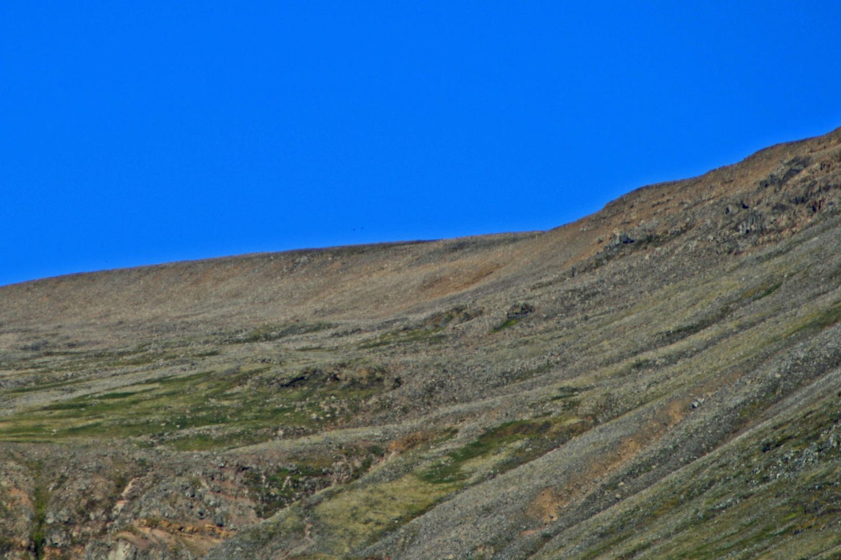 Skaflinn í Gunnlaugsskarði var allur horfinn síðdegis á fimmtudag en …