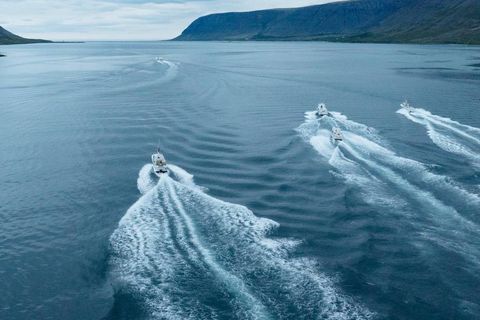 Hátt í 30 bátar eru á strandveiði frá Tálknafirði sem setur mikinn svip á lífið …
