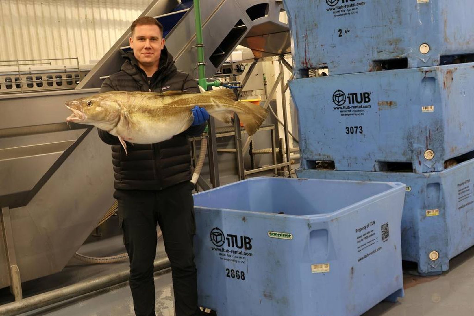 „Við erum B-ið á milli A og C“