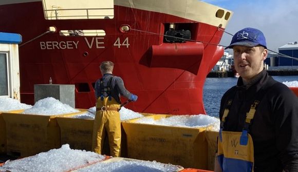 Bergey landaði fullfermi af ýsu