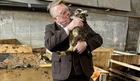 Jón Gnarr: „Enginn frambjóðönd“ elskar sauðkindina eins og ég