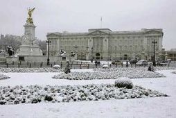 Buckingham-höll í London.