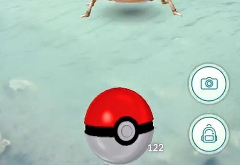 A Krabby at the Blue Lagoon in Iceland.
